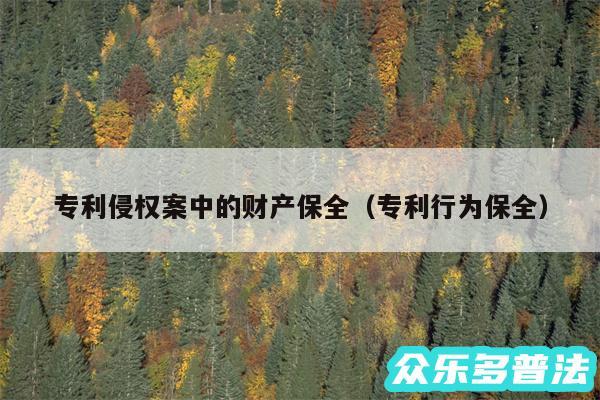 专利侵权案中的财产保全以及专利行为保全