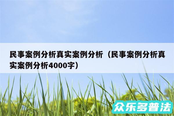 民事案例分析真实案例分析以及民事案例分析真实案例分析4000字