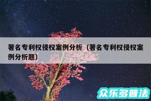 著名专利权侵权案例分析以及著名专利权侵权案例分析题