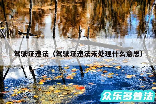 驾驶证违法以及驾驶证违法未处理什么意思