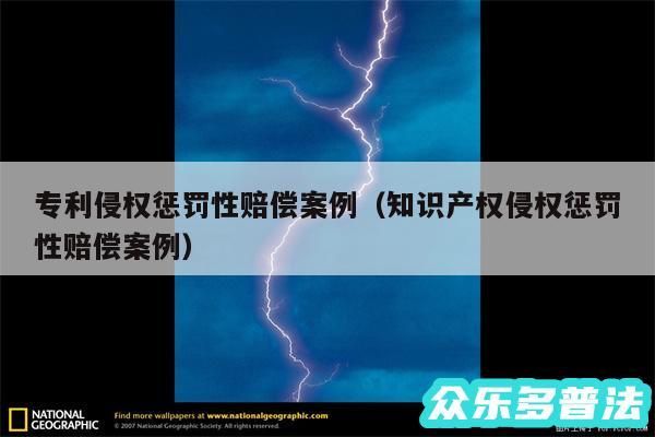 专利侵权惩罚性赔偿案例以及知识产权侵权惩罚性赔偿案例