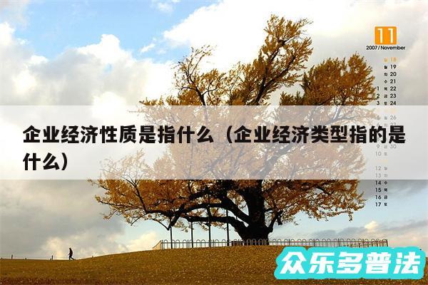 企业经济性质是指什么以及企业经济类型指的是什么