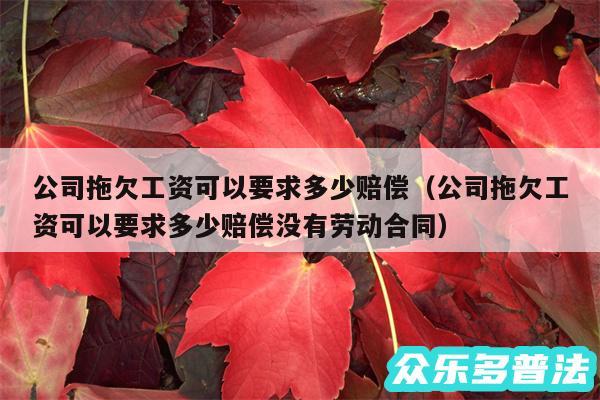 公司拖欠工资可以要求多少赔偿以及公司拖欠工资可以要求多少赔偿没有劳动合同