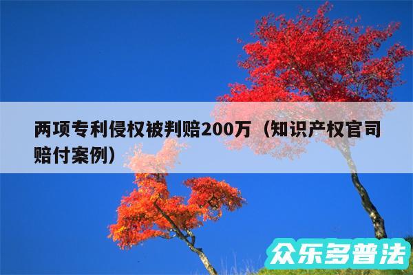 两项专利侵权被判赔200万以及知识产权官司赔付案例