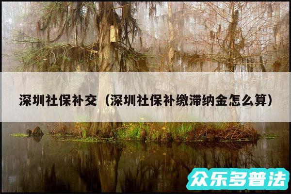 深圳社保补交以及深圳社保补缴滞纳金怎么算