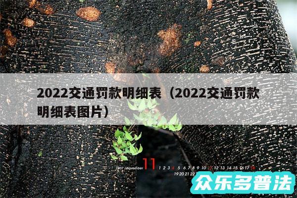 2024交通罚款明细表以及2024交通罚款明细表图片