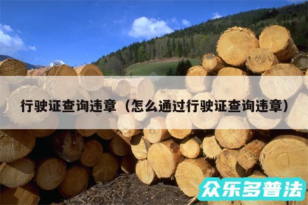 行驶证查询违章以及怎么通过行驶证查询违章