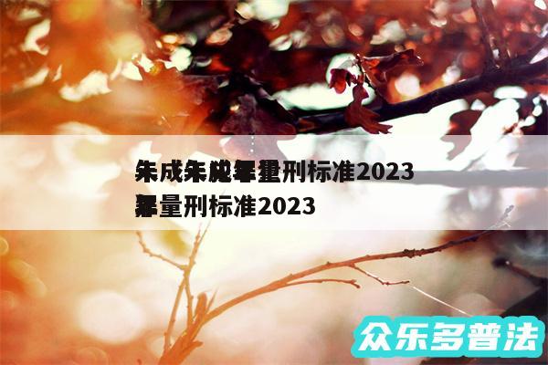 未成年犯罪量刑标准2024
年以及未成年犯罪量刑标准2024
年
