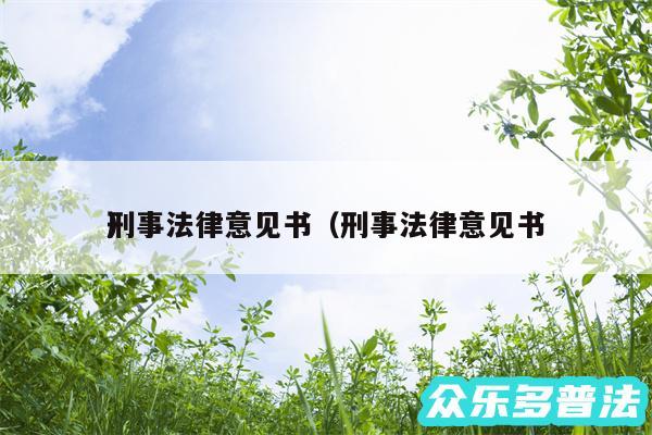 刑事法律意见书以及刑事法律意见书
