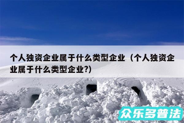 个人独资企业属于什么类型企业以及个人独资企业属于什么类型企业?