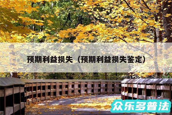 预期利益损失以及预期利益损失鉴定