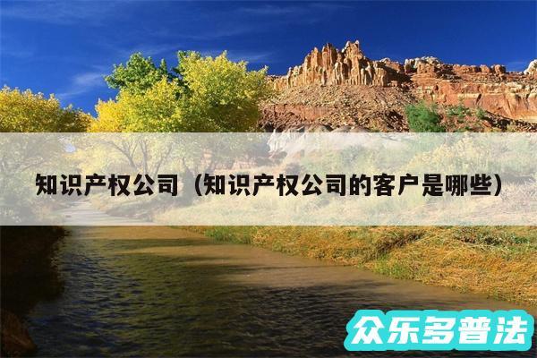 知识产权公司以及知识产权公司的客户是哪些