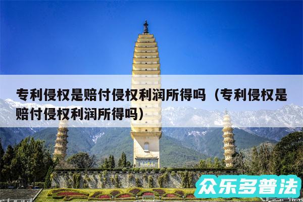 专利侵权是赔付侵权利润所得吗以及专利侵权是赔付侵权利润所得吗
