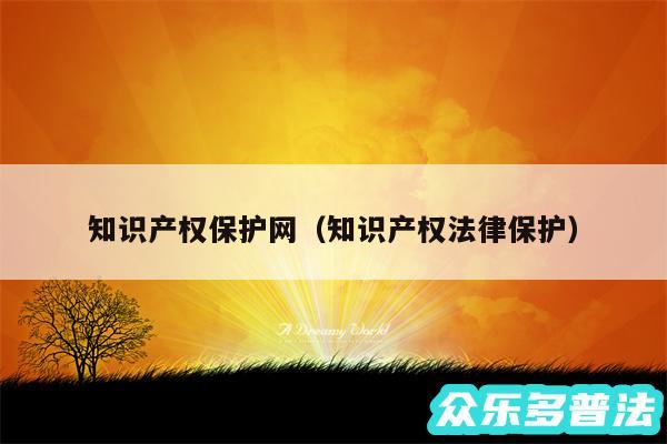 知识产权保护网以及知识产权法律保护