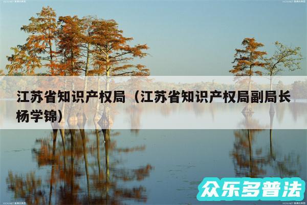 江苏省知识产权局以及江苏省知识产权局副局长杨学锦