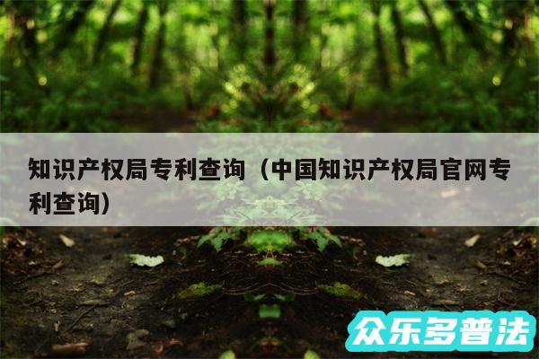 知识产权局专利查询以及中国知识产权局官网专利查询