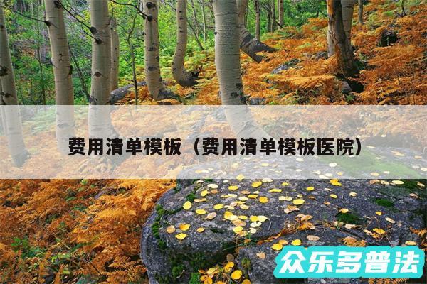 费用清单模板以及费用清单模板医院