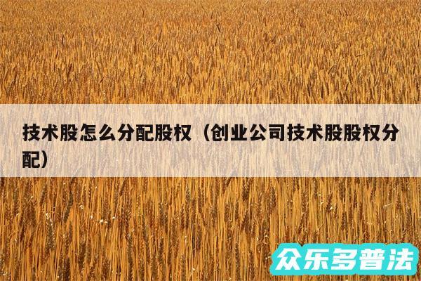 技术股怎么分配股权以及创业公司技术股股权分配