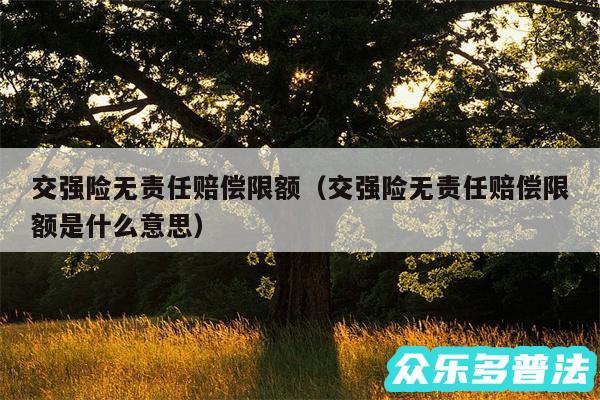 交强险无责任赔偿限额以及交强险无责任赔偿限额是什么意思