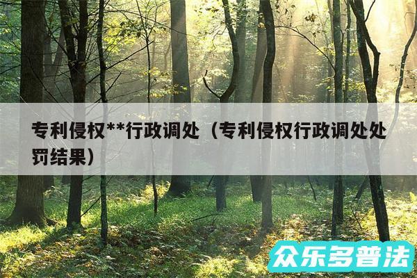 专利侵权**行政调处以及专利侵权行政调处处罚结果