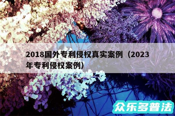 2018国外专利侵权真实案例以及2024
年专利侵权案例