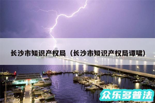 长沙市知识产权局以及长沙市知识产权局谭啸