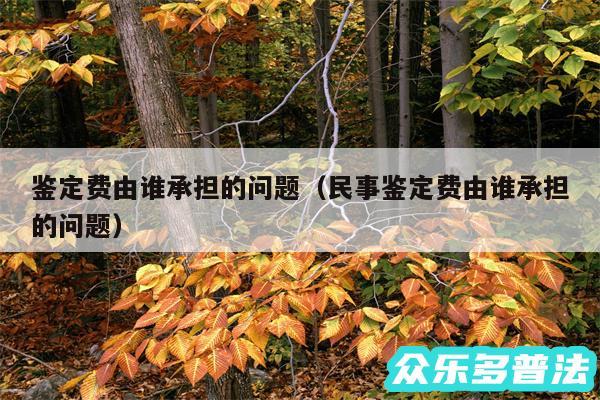 鉴定费由谁承担的问题以及民事鉴定费由谁承担的问题