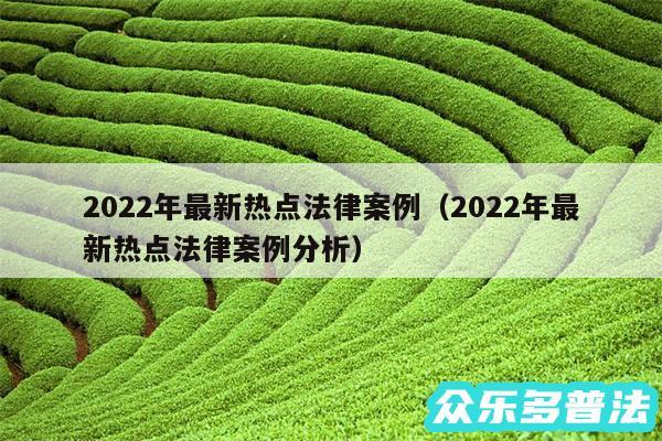 2024年最新热点法律案例以及2024年最新热点法律案例分析