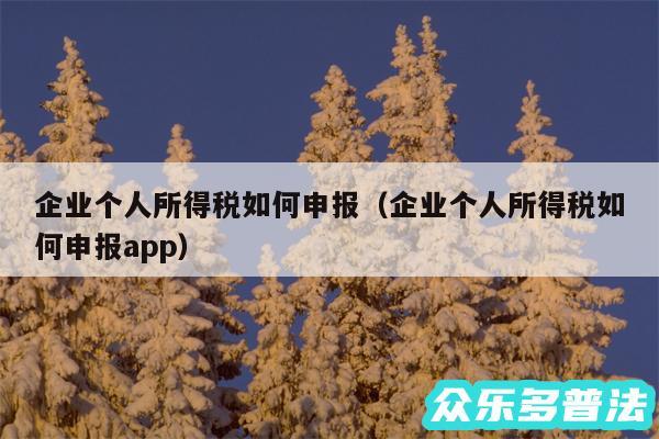 企业个人所得税如何申报以及企业个人所得税如何申报app