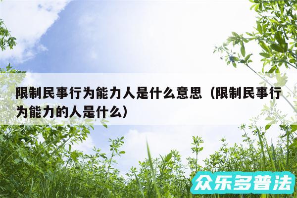 限制民事行为能力人是什么意思以及限制民事行为能力的人是什么