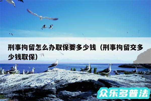 刑事拘留怎么办取保要多少钱以及刑事拘留交多少钱取保
