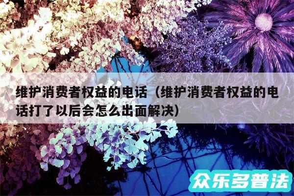 维护消费者权益的电话以及维护消费者权益的电话打了以后会怎么出面解决