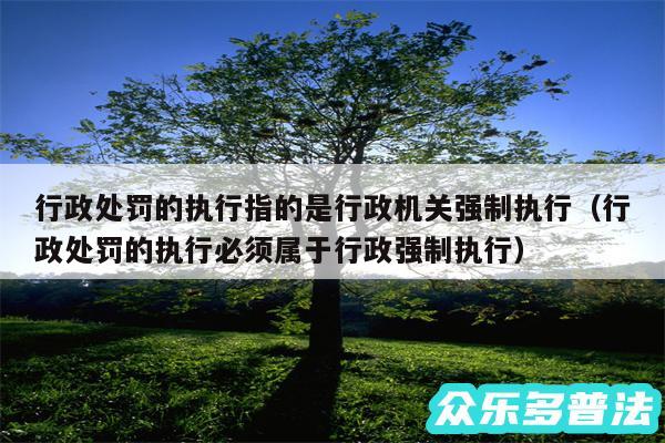 行政处罚的执行指的是行政机关强制执行以及行政处罚的执行必须属于行政强制执行