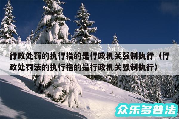行政处罚的执行指的是行政机关强制执行以及行政处罚法的执行指的是行政机关强制执行