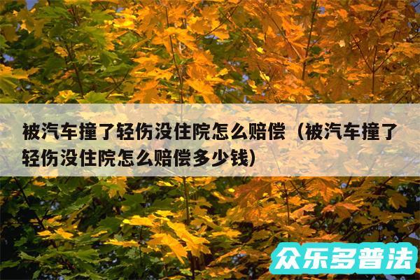 被汽车撞了轻伤没住院怎么赔偿以及被汽车撞了轻伤没住院怎么赔偿多少钱