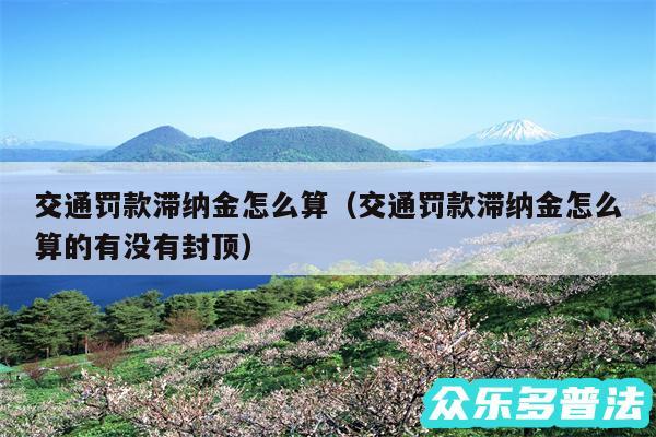 交通罚款滞纳金怎么算以及交通罚款滞纳金怎么算的有没有封顶