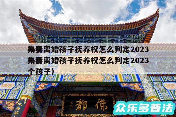 夫妻离婚孩子抚养权怎么判定2024
年以及夫妻离婚孩子抚养权怎么判定2024
年两个孩子