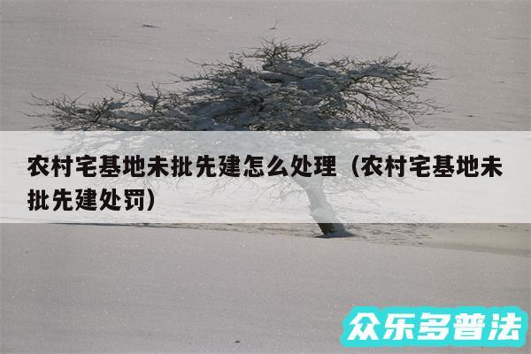 农村宅基地未批先建怎么处理以及农村宅基地未批先建处罚