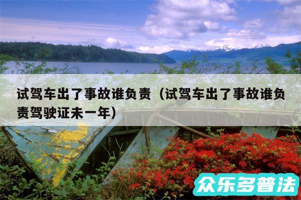 试驾车出了事故谁负责以及试驾车出了事故谁负责驾驶证未一年