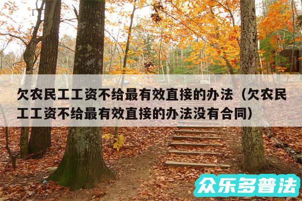 欠农民工工资不给最有效直接的办法以及欠农民工工资不给最有效直接的办法没有合同