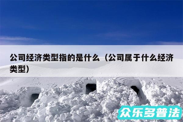 公司经济类型指的是什么以及公司属于什么经济类型