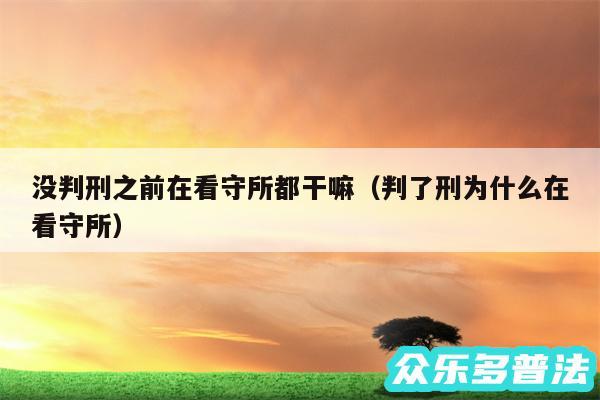 没判刑之前在看守所都干嘛以及判了刑为什么在看守所