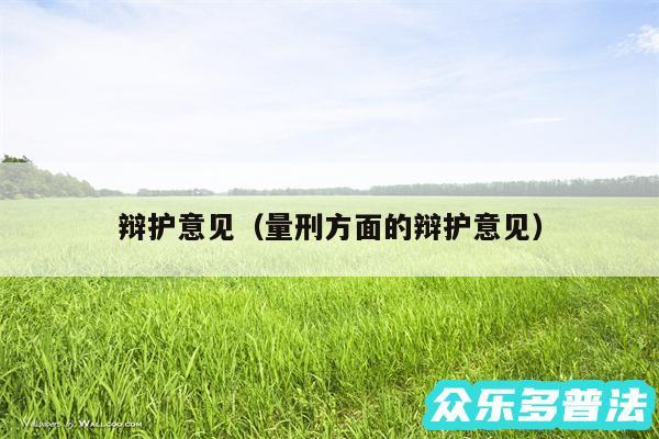 辩护意见以及量刑方面的辩护意见