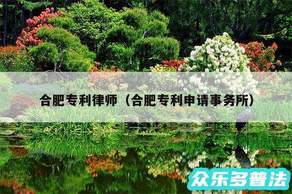 合肥专利律师以及合肥专利申请事务所