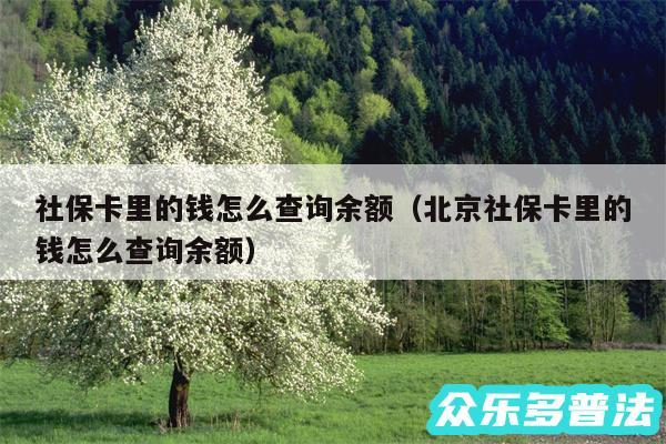 社保卡里的钱怎么查询余额以及北京社保卡里的钱怎么查询余额