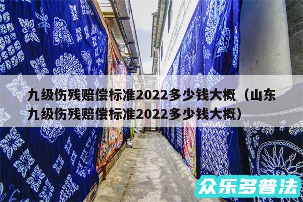 九级伤残赔偿标准2024多少钱大概以及山东九级伤残赔偿标准2024多少钱大概