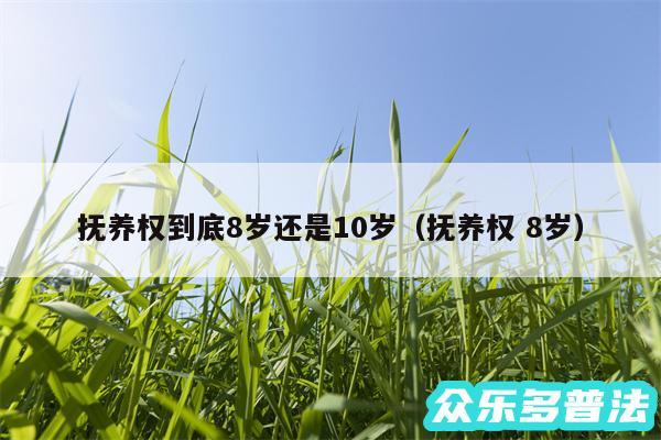 抚养权到底8岁还是10岁以及抚养权 8岁