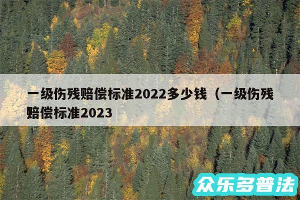 一级伤残赔偿标准2024多少钱以及一级伤残赔偿标准2024
