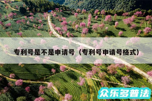 专利号是不是申请号以及专利号申请号格式