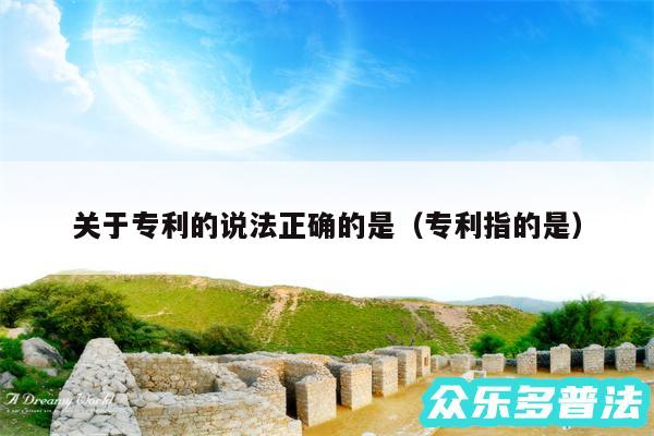 关于专利的说法正确的是以及专利指的是